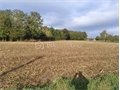 Terrain à la vente